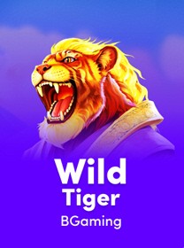 Imagem representativa de um cadeado simbolizando seguran&ccedil;a online no 27bvip Casino.